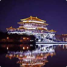 影視IP型
