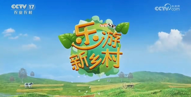 “走進非遺 ‘井’上添花”再上央視熒屏
