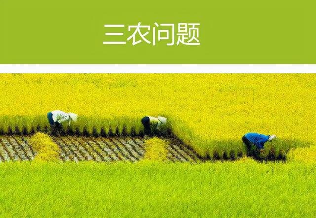 “文旅+鄉村” 8種創新模式，讓鄉村旅游煥發新活力！